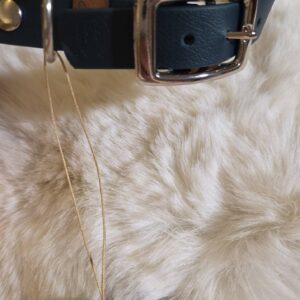 HU 48-53 cm BioThane Halsband dunkelgrün