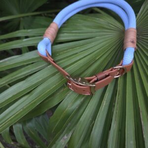 HU 42-49 cm Tauhalsband mit BioThane Verschluss Polar Blau
