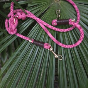 Tauleine Poppy Flower