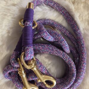 Tauleine Little Pony