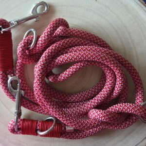 Tauleine Poppy Flower