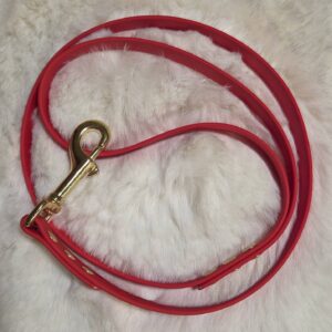 100 cm Cityleine/Führleine aus BioThane