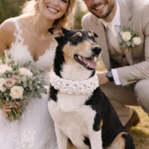 Hochzeitsoutfits für Fellnasen