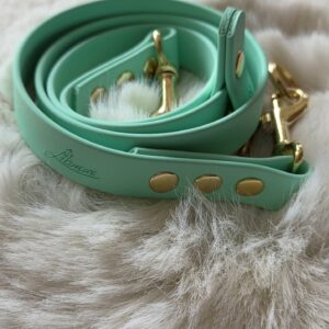 Leinenverlängerung zu Koppelleine oder Kombi-Leine aus BioThane 100 cm lang Carribean Grün