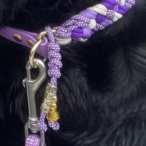Personalisierung - der Name eurer Fellnase & oder euer Eigener an Halsband, Leine oder Schlüsselanhänger