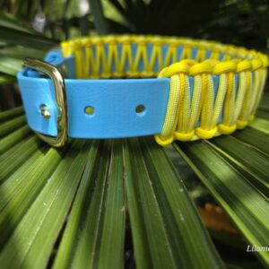 HU 40-49 cm Cobra umflochtenes BioThane Halsband Poolside Chill