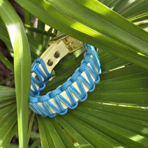 HU 22-28 cm Cobra umflochtenes BioThane Halsband Poolside Chill