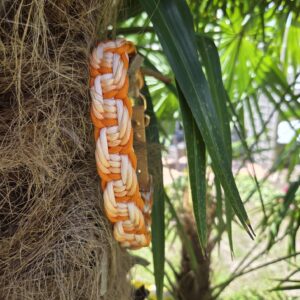 HU 41-47 cm Geflochtenes Paracord Halsband Pancia mit BioThane Verschluss Morning Glow