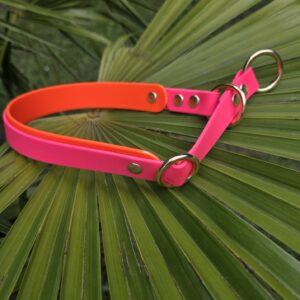 HU 39-47 cm 2 farbiges BioThane Halsband 19mm mit 25mm Bio'Thane unterlegt mit variablem Zugstopp