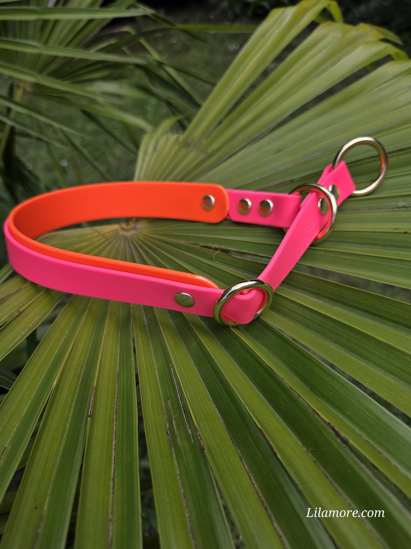 HU 39-47 cm 2 farbiges BioThane Halsband 19mm mit 25mm Bio'Thane unterlegt mit variablem Zugstopp
