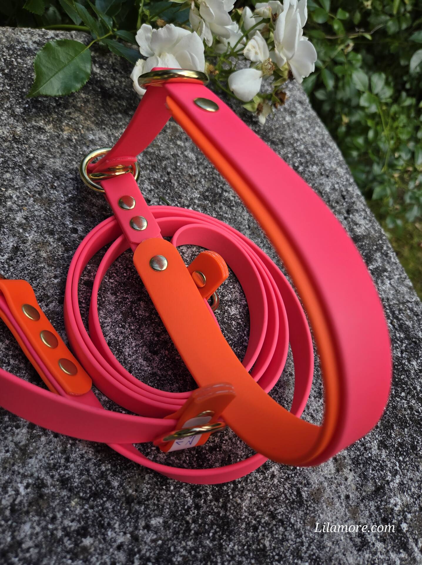 HU 39-47 cm 2 farbiges BioThane Halsband 19mm mit 25mm Bio'Thane unterlegt mit variablem Zugstopp – Bild 2