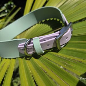 HU 48-54 cm BioThane Halsband 38mm mit Akzent Verschluss 19mm Salty Lavender