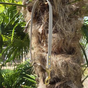 BioThane Leinenverlängerung zu Kombileine 80 cm Taupe