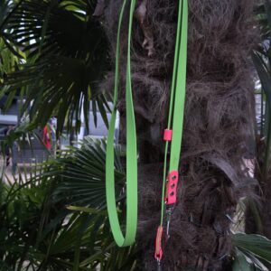 2 farbige BioThane Leine 230 cm 3fach verstellbar Apple Grün, Akzente in Neon Pink