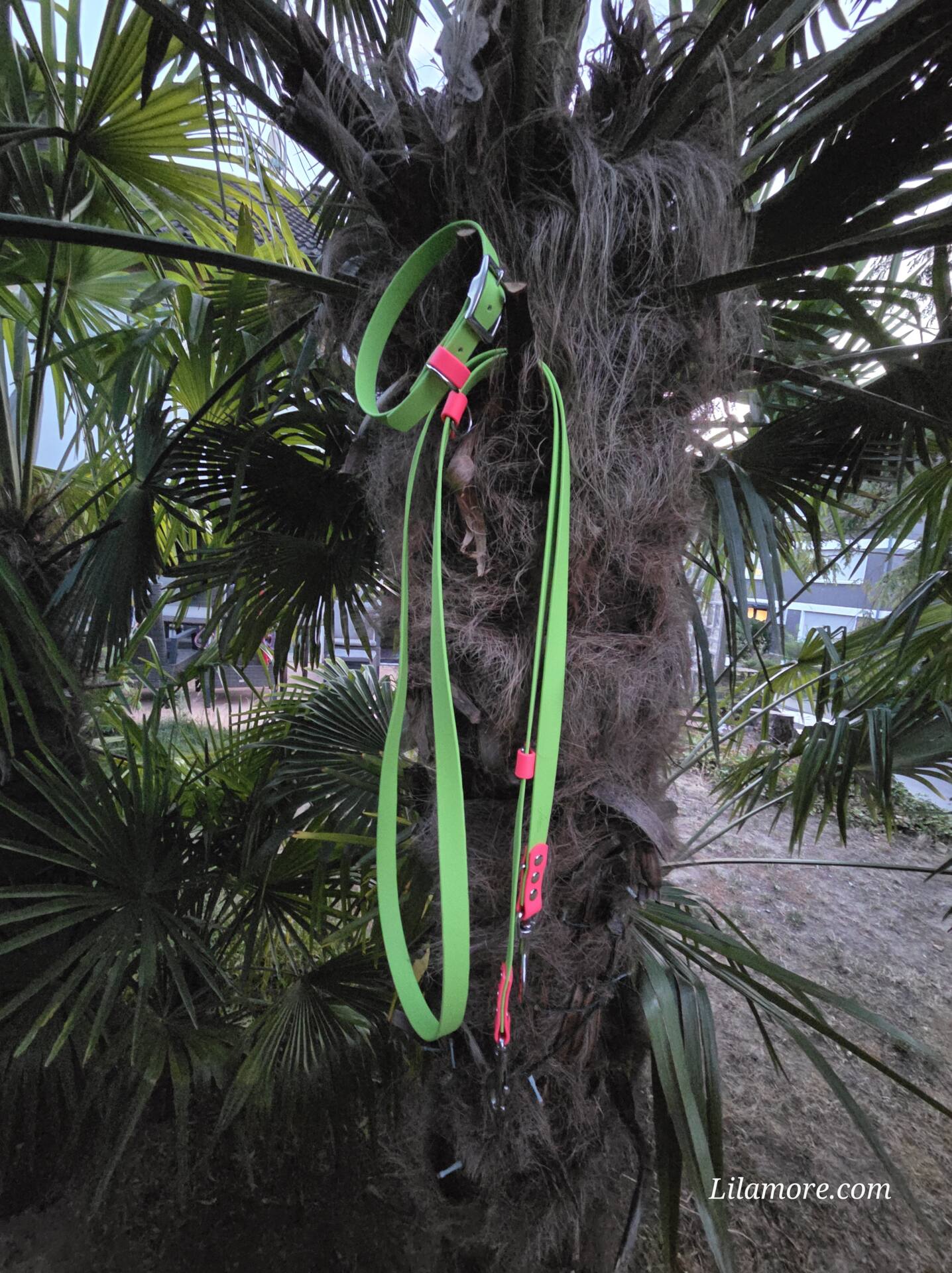 2 farbige BioThane Leine 230 cm 3fach verstellbar Apple Grün, Akzente in Neon Pink – Bild 3