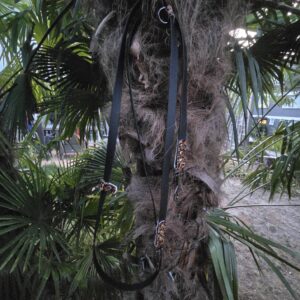 2 farbige BioThane Leine 235 cm 3fach verstellbar Schwarz, Akzente in Leopard