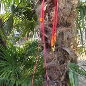 2 farbige BioThane Leine 235 cm 3fach verstellbar Neon Pink, Akzente in Peach