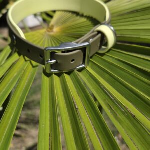 HU 35-41 cm BioThane-Halsband 19mm Olive mit Pastellgelb 25mm unterlegt