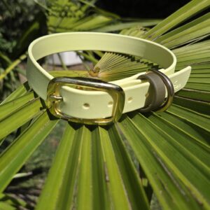 HU 38-44 cm BioThane Halsband 19mm breit Pastellgelb Akzentschlaufe Olive Lime and Olive