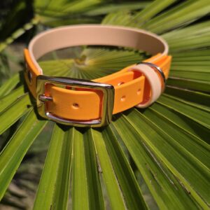 HU 36-42 cm BioThane Halsband 19mm Pastell Peach mit Akzent Verschluss 19mm Peach