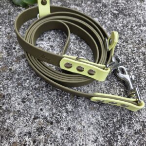 2 farbige BioThane Leine 230 cm 3fach verstellbar Olive, Akzente in Pastell Gelb Lime and Olive