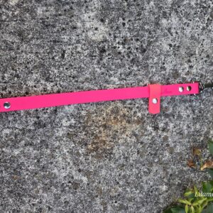 Schleppleinen-Halter aus BioThane Neon Pink mit Akzent