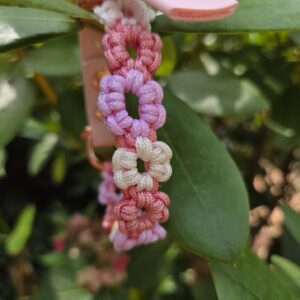 HU 21-25,5 cm Geflochtenes Paracord Halsband Fiorellini I